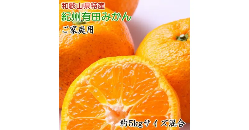 【ふるさと納税】和歌山有田みかん5kg ご家庭用（サイズ混合）★2024年11月中旬頃より順次発送【TM102】 | 和歌山県 和歌山市 和歌山 楽天ふるさと 納税 支援品 返礼品 お取り寄せグルメ お取り寄せ 取り寄せ グルメ フルーツ 果物 くだもの みかん ミカン 有田みかん 柑橘類