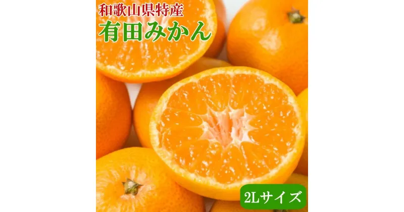 【ふるさと納税】[秀品]和歌山有田みかん約6kg(2Lサイズ)★2024年11月中旬頃より順次発送【TM84】 | 和歌山県 和歌山市 和歌山 楽天ふるさと 納税 支援品 返礼品 お取り寄せ 取り寄せ グルメ フルーツ 果物 くだもの ミカン 蜜柑 柑橘類 かんきつ類 おいしいみかん