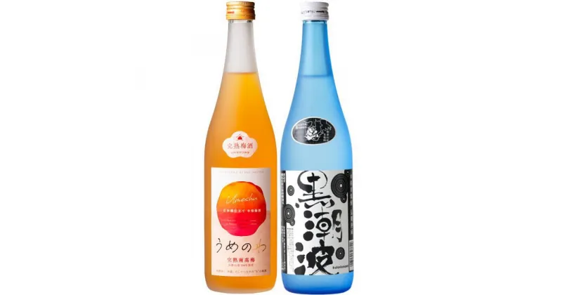 【ふるさと納税】焼酎 黒潮波（くろしおなみ）720mlと紀州完熟南高梅「梅酒」720mlの2本セット【TM19】 | 和歌山 楽天ふるさと 納税 支援品 返礼品 お取り寄せ 取り寄せ 酒 お酒 おさけ さけ アルコール飲料 梅酒 紀州南高梅 詰め合わせ セット おいしい