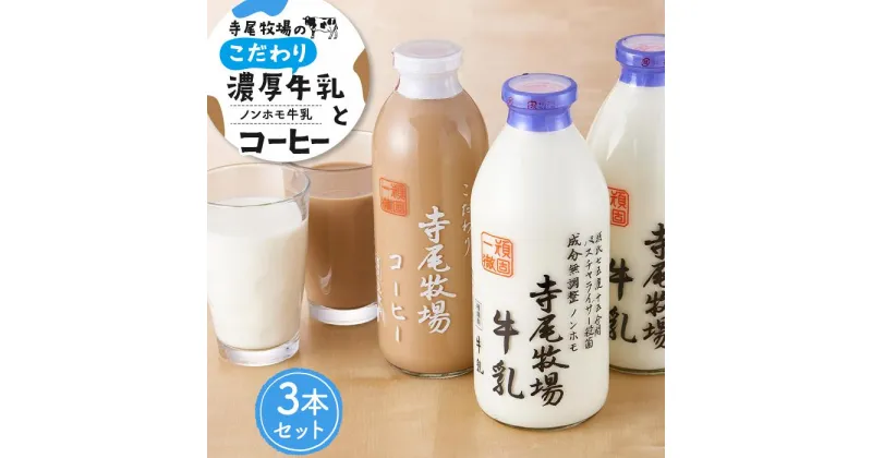 【ふるさと納税】寺尾牧場のこだわり濃厚牛乳（ノンホモ牛乳）2本とコーヒー1本の合計3本セット | 和歌山 楽天ふるさと 納税 支援品 返礼品 牛乳 ぎゅうにゅう 牧場 特産品 ご当地 お取り寄せ 取り寄せ おいしい 美味しい 国産 飲み物 牛 コーヒー 詰め合わせ