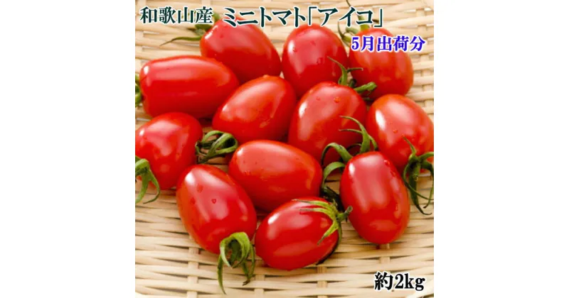 【ふるさと納税】【2025年5月出荷分】和歌山産ミニトマト「アイコトマト」約2kg（S・Mサイズおまかせ）【TM165】 | 和歌山県 和歌山市 和歌山 楽天ふるさと 納税 支援品 返礼品 お取り寄せグルメ お取り寄せ 取り寄せ グルメ トマト アイコ とまと ミニトマト 野菜 やさい