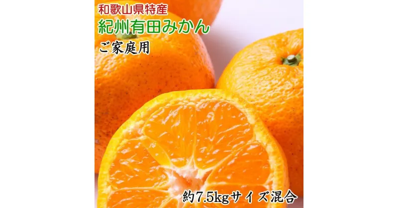 【ふるさと納税】和歌山有田みかん7.5kg ご家庭用 (サイズ混合) ★2024年11月中旬頃より順次発送【TM103】 | 和歌山 和歌山県 和歌山市 返礼品 お取り寄せグルメ お取り寄せ 取り寄せ 果物 くだもの みかん ミカン 有田みかん 柑橘類