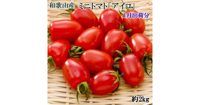 【ふるさと納税】【1月出荷分】和歌山産ミニトマト「アイコトマト」約2kg（S・Mサイズおまかせ）【TM109】 | 和歌山県 和歌山市 和歌山 楽天ふるさと 納税 支援品 返礼品 お取り寄せグルメ お取り寄せ 取り寄せ グルメ トマト アイコ とまと ミニトマト 野菜 やさい