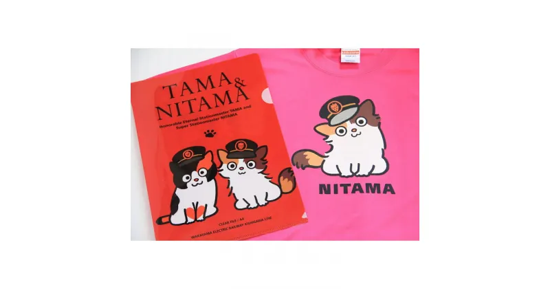 【ふるさと納税】ニタマ駅長Tシャツ＜160cm＞・たまニタマクリアファイルセット