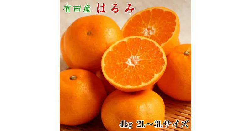 【ふるさと納税】【厳選・濃厚】紀州有田産のはるみ約4kg(サイズおまかせ) ★2025年1月中旬頃より順次発送【TM27】 | 和歌山県 楽天ふるさと 納税 支援品 返礼品 お取り寄せグルメ お取り寄せ 取り寄せ フルーツ 果物 くだもの はるみ 柑橘 かんきつ類 特産品 おいしい