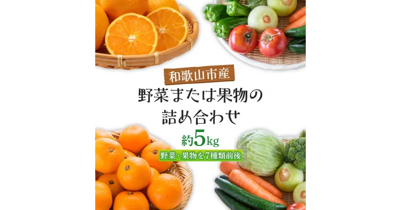 【ふるさと納税】旬をお届け！和歌山市産・野菜または果物の詰め合わせ | 和歌山県 和歌山市 和歌山 楽天ふるさと 納税 支援品 返礼品 お取り寄せグルメ お取り寄せ 取り寄せ グルメ 野菜 やさい フルーツ 果物 くだもの 新鮮野菜 新鮮 野菜詰め合わせ 詰め合わせ