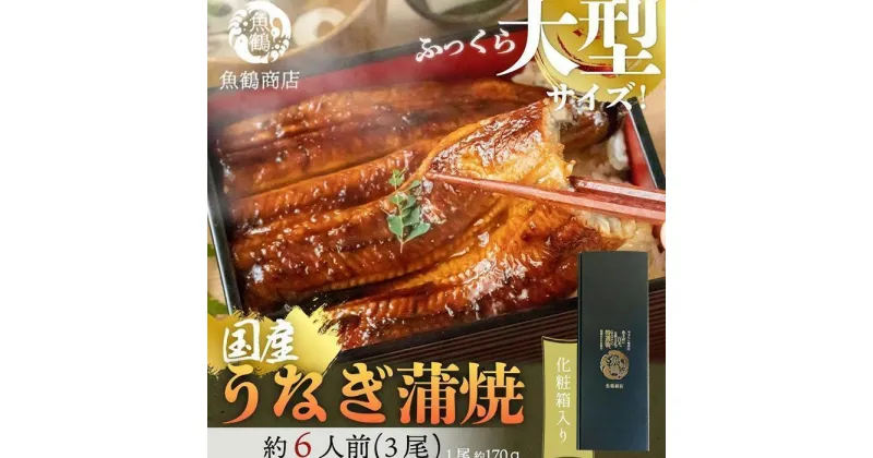 【ふるさと納税】大型サイズふっくら柔らか　国産うなぎ蒲焼き　3尾 | 和歌山県 和歌山市 和歌山 楽天ふるさと 納税 支援品 返礼品 お取り寄せグルメ お取り寄せ 取り寄せ グルメ うなぎ 国産 鰻 ウナギ うなぎ蒲焼 国産うなぎ 国産ウナギ 国産鰻 蒲焼き 魚介類 魚介