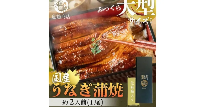 【ふるさと納税】大型サイズ 　ふっくら柔らか国産うなぎ蒲焼き　1尾（約2人前）化粧箱入 | 和歌山県 和歌山市 和歌山 楽天ふるさと 納税 支援品 返礼品 お取り寄せグルメ お取り寄せ 取り寄せ グルメ うなぎ 鰻 ウナギ うなぎ蒲焼 国産うなぎ 国産ウナギ 蒲焼き 魚介