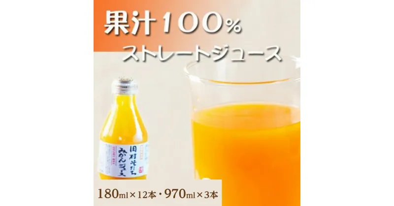 【ふるさと納税】果汁100％田村そだちみかんジュース　180ml×12本／970ml×3本 | 和歌山県 和歌山市 和歌山 楽天ふるさと 納税 支援品 返礼品 ジュース みかんジュース ミカンジュース 飲み物 フルーツジュース 果汁100 ソフトドリンク みかん ミカン ドリンク 柑橘 柑橘類