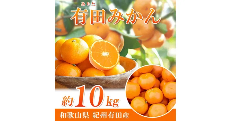 【ふるさと納税】完熟有田みかん　10kg【先行予約】【UT11】 | 和歌山 楽天ふるさと 納税 支援品 返礼品 お取り寄せグルメ お取り寄せ 取り寄せ グルメ フルーツ 果物 くだもの みかん 有田みかん 蜜柑 柑橘類 かんきつ類 おいしいみかん