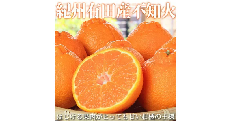 【ふるさと納税】紀州有田産不知火(しらぬひ) 約5kg【2025年2月中旬以降発送】【先行予約】【UT40】 | お取り寄せ 取り寄せ グルメ フルーツ 果物 くだもの 不知火 しらぬい 柑橘 柑橘類 かんきつ類 特産品 国産