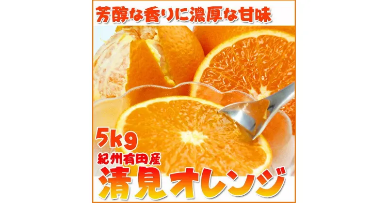 【ふるさと納税】とにかくジューシー清見オレンジ　5kg【2025年3月下旬以降発送】【先行予約】【UT53】 | 和歌山市 和歌山 楽天ふるさと 支援品 返礼品 お取り寄せグルメ お取り寄せ 取り寄せ フルーツ 果物 オレンジ 清見オレンジ 柑橘 柑橘類 おいしい 美味しい