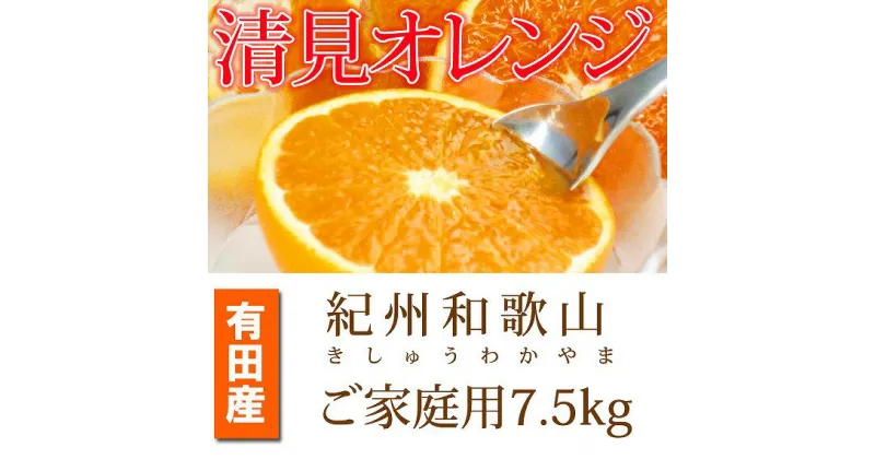 【ふるさと納税】【ご家庭用訳アリ】紀州有田産清見オレンジ　7.5kg【2025年3月下旬以降発送】【先行予約】【UT54】 | 和歌山県 和歌山市 和歌山 楽天ふるさと 支援品 返礼品 お取り寄せグルメ取り寄せ フルーツ 果物 くだもの オレンジ 清見オレンジ 柑橘 柑橘類 訳あり