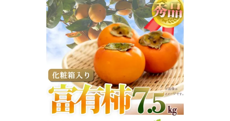 【ふるさと納税】和歌山秋の味覚　富有柿　約7．5kg「2024年11月上旬以降発送予定」【UT48】 | 和歌山県 和歌山市 和歌山 楽天ふるさと 納税 支援品 返礼品 お取り寄せグルメ お取り寄せ 取り寄せ グルメ 柿 かき カキ フルーツ 果物 くだもの 甘い柿 おいしい 美味しい