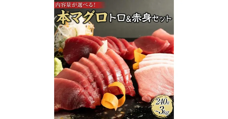 【ふるさと納税】【選べる内容量（240g・500g・1.35kg・3kg）】プレミア和歌山認証品 本マグロ（養殖）トロ＆赤身セット