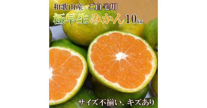 【ふるさと納税】和歌山産 【極早生】みかん 10kg 【ご自宅用・サイズ不揃い・キズ等あり】【ヤマタ大谷商店】