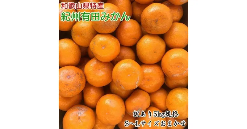 【ふるさと納税】【訳あり】和歌山有田みかん約5kg（S～Lサイズいずれかお届け）★2024年11月中旬頃より順次発送【TM81】