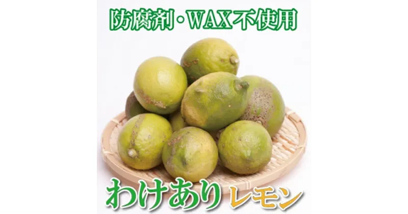 【ふるさと納税】＜9月より発送＞家庭用 黒潮レモン5kg+150g（傷み補償分）【和歌山有田産】【防腐剤・WAX不使用、安心の国産レモン】【わけあり・訳ありレモン】