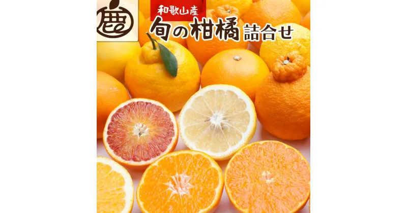 【ふるさと納税】＜1月より発送＞厳選 柑橘詰合せ3kg+90g（傷み補償分）【有田の春みかん詰め合わせ・フルーツ詰め合せ・オレンジつめあわせ】【光センサー選別】 | フルーツ 果物 くだもの 食品 人気 おすすめ 送料無料 フルーツ詰め合せ オレンジつめあわせ