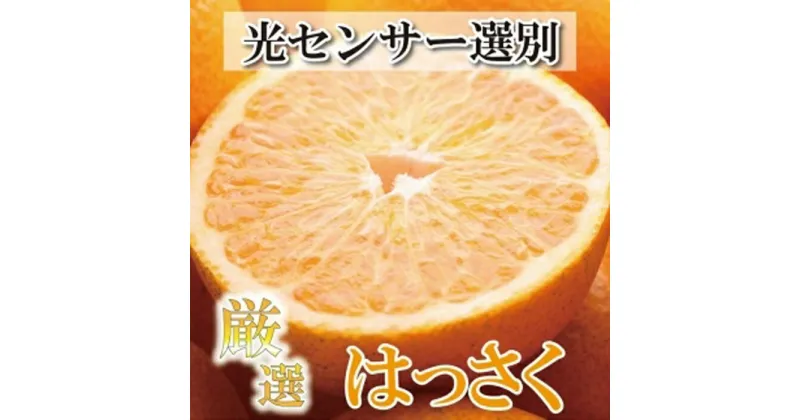 【ふるさと納税】＜1月より発送＞厳選 はっさく5.5kg+165g（傷み補償分）【八朔みかん・ハッサク】