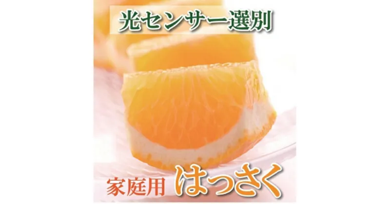 【ふるさと納税】＜1月より発送＞家庭用 はっさく6.5kg+195g（傷み補償分）【八朔みかん・ハッサク】【わけあり・訳あり】