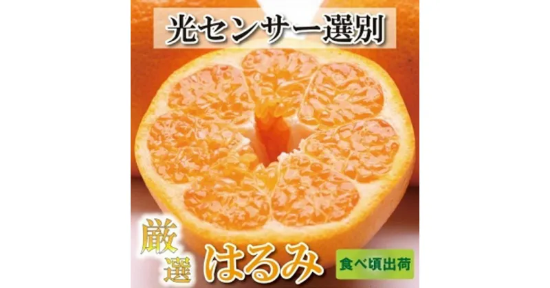 【ふるさと納税】＜2月より発送＞厳選 はるみ5kg+150g（傷み補償分）【デコポンの姉妹品種・新食感春みかん】【光センサー選別】