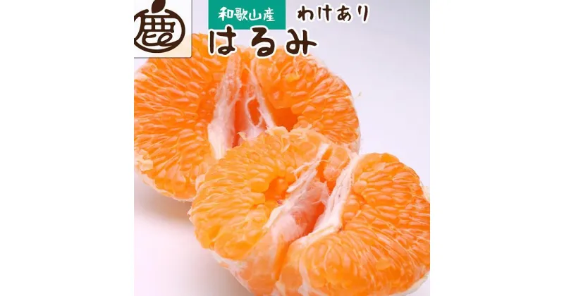 【ふるさと納税】＜2月より発送＞家庭用 はるみ4kg+120g（傷み補償分）【デコポンの姉妹品種・新食感春みかん】【光センサー選別】【わけあり・訳あり】 | フルーツ 果物 くだもの 食品 人気 おすすめ 送料無料