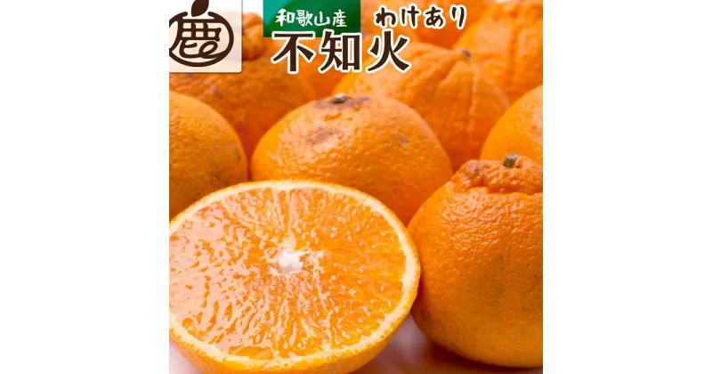 【ふるさと納税】＜2月より発送＞家庭用 不知火4kg+120g（傷み補償分）【デコポンと同品種・人気の春みかん】【わけあり・訳あり】【光センサー選別】