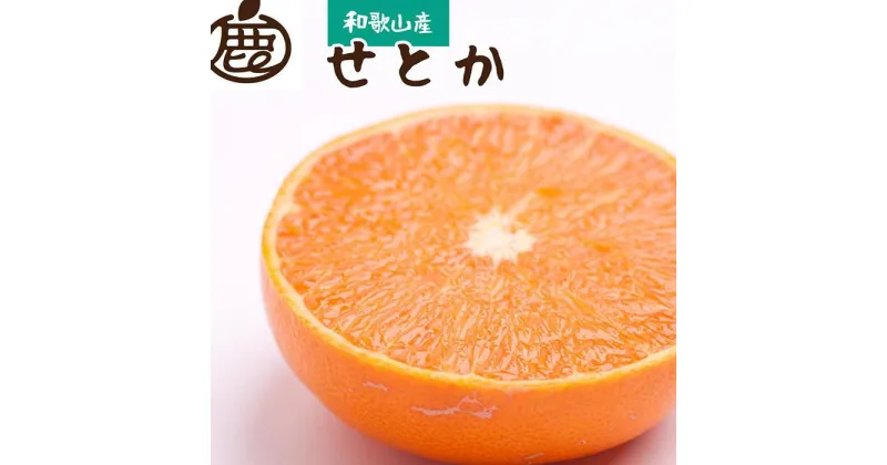 【ふるさと納税】＜2月より発送＞家庭用 せとか2kg+60g（傷み補償分）【柑橘・春みかんの王様】【わけあり・訳あり】【光センサー選別】