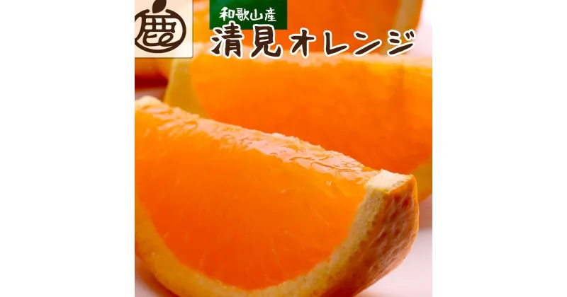 【ふるさと納税】＜2月より発送＞厳選 清見オレンジ5kg+150g（傷み補償分）【光センサー食頃出荷】【樹上完熟きよみオレンジ】 | フルーツ 果物 くだもの 食品 人気 おすすめ 送料無料 光センサー食頃出荷 樹上完熟 きよみオレンジ 清見タンゴール 清美