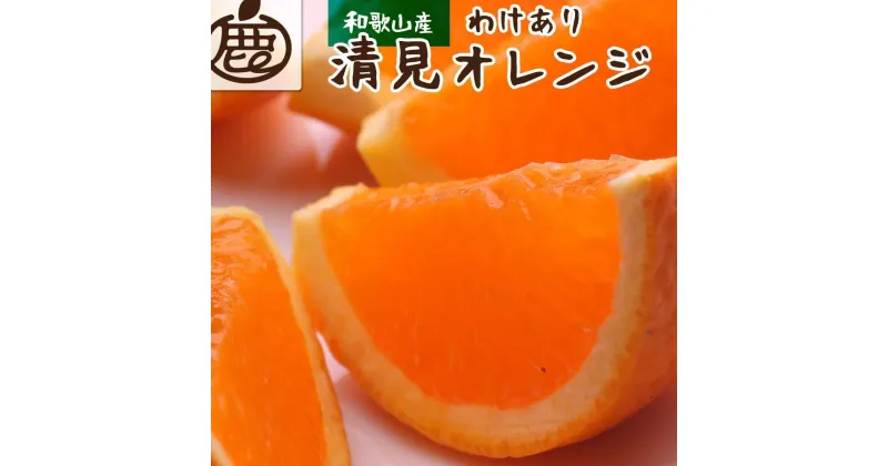 【ふるさと納税】＜2月より発送＞家庭用 清見オレンジ5kg+150g（傷み補償分）【光センサー食頃出荷】【わけあり・訳あり】 | フルーツ 果物 くだもの 食品 人気 おすすめ 送料無料 光センサー食頃出荷 樹上完熟きよみオレンジ 清見タンゴール 清美わけあり