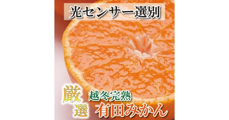 【ふるさと納税】＜1月より発送＞厳選 越冬完熟みかん5kg+150g（傷み補償分）訳ありハウスみかん | フルーツ 果物 くだもの 食品 人気 おすすめ 送料無料 わけあり 光センサー選果