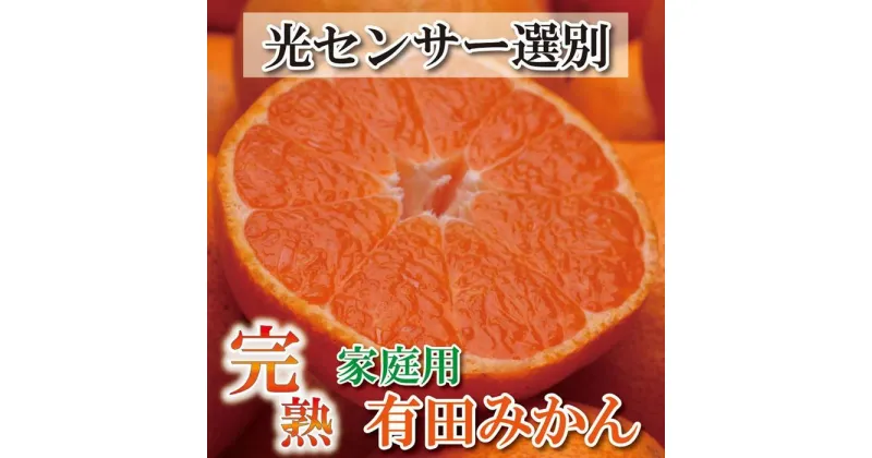 【ふるさと納税】＜11月より発送＞家庭用 完熟有田みかん10kg+300g（傷み補償分）訳あり | フルーツ 果物 くだもの 食品 人気 おすすめ 送料無料 わけあり 光センサー選果