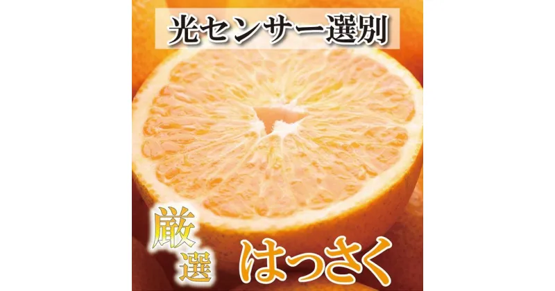 【ふるさと納税】＜4月より発送＞厳選 樹上完熟はっさく4kg+120g（傷み補償分）【八朔】【さつき・木成】 | フルーツ 果物 くだもの 食品 人気 おすすめ 送料無料 有田の春みかん 五月八朔 さつきはっさく 木生りはっさく きなりはっさく光センサー選別