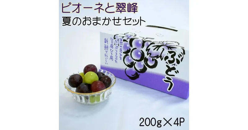 【ふるさと納税】【数量限定】ピオーネと翠峰の夏のおまかせセット約200g×4パック★2025年8月下旬頃より順次発送【TM183】 | フルーツ 果物 くだもの 食品 人気 おすすめ 送料無料