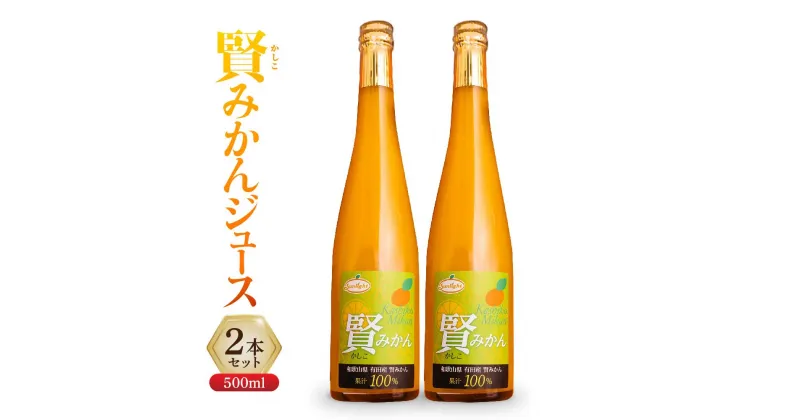 【ふるさと納税】賢みかんジュース500ml 2本セット ギフト | 飲料 ドリンク 食品 人気 おすすめ 送料無料