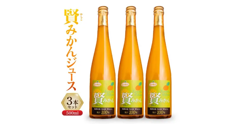 【ふるさと納税】賢みかんジュース500ml 3本セット ギフト | 飲料 ドリンク 食品 人気 おすすめ 送料無料