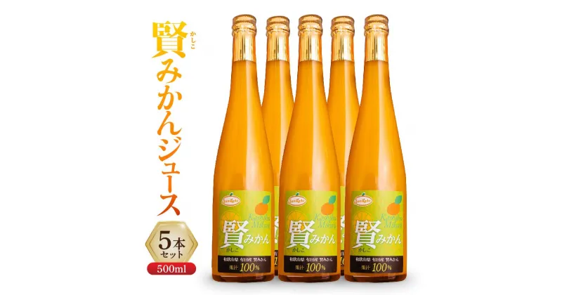 【ふるさと納税】賢みかんジュース500ml 5本セット ギフト | 飲料 ドリンク 食品 人気 おすすめ 送料無料