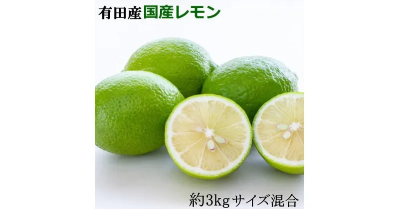 【ふるさと納税】有田産の安心国産レモン約3kg （サイズ混合）★2024年10月下旬頃より順次発送【TM61】 | 檸檬 れもん フルーツ 果物 くだもの 食品 人気 おすすめ 送料無料