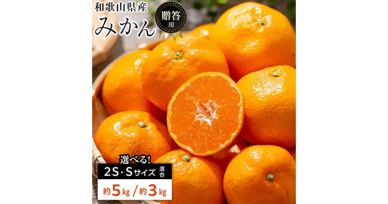 【ふるさと納税】和歌山県産 糖度 12.5度以上 秀品 贈答用 みかん 3kg または 5kg 2S・S サイズ混合 | 和歌山県 和歌山 和歌山市 訳あり みかん 温州みかん フルーツ 果物 取り寄せ お取り寄せ グルメ