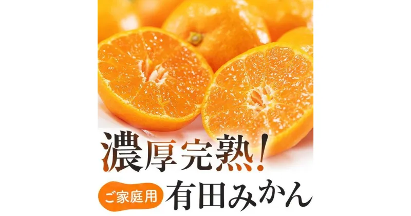 【ふるさと納税】ご家庭用 濃厚完熟 有田みかん 約8～10kg 【2024年11月～2025年1月発送】 農家直送 訳あり | 有田みかん みかん ミカン 完熟 フルーツ 果物 くだもの 食品 人気 おすすめ 送料無料 農家直送