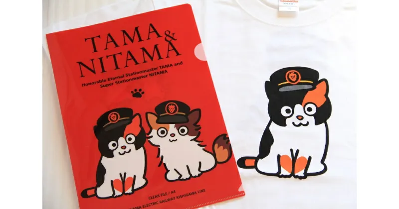 【ふるさと納税】たま駅長Tシャツ＜M＞・たまニタマクリアファイルセット