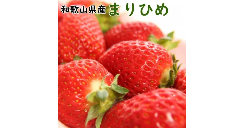 【ふるさと納税】和歌山県産ブランドいちご「まりひめ」大粒系約300g×2パック入り★2024年12月中旬頃より順次発送【TM89】 | 苺 いちご あまい フルーツ 果物 くだもの 食品 人気 おすすめ 送料無料