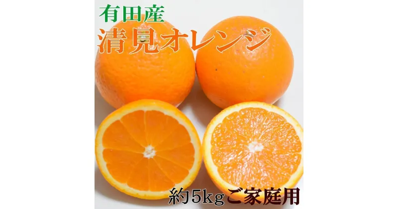 【ふるさと納税】【濃厚】有田産清見オレンジ約5kg（サイズおまかせ・ご家庭用）★2025年2月下旬頃より順次発送【TM151】 | フルーツ 果物 くだもの 食品 人気 おすすめ 送料無料