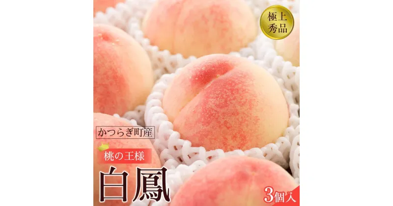 【ふるさと納税】先行販売！【モモ】 白鳳　桃の王様！食べきりやすい3個入り【2025年6月下旬頃より順次発送】【秀品】こだわり農家厳選 【KG17】 | もも フルーツ 果物 くだもの 食品 人気 おすすめ 送料無料