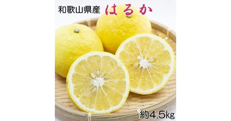 【ふるさと納税】【さわやか柑橘】和歌山県産はるかみかん約4.5kg（サイズ混合　秀品）★2025年2月下旬頃より順次発送【TM162】 | デコポン 不知火 フルーツ 果物 くだもの 食品 人気 おすすめ 送料無料