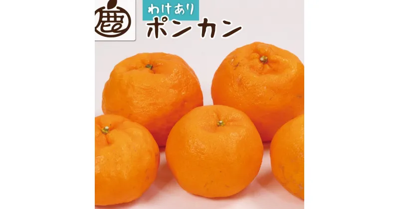 【ふるさと納税】＜1月より発送＞家庭用 ポンカン3.5kg+105g（傷み補償分）【訳あり・わけあり】【光センサー選別】【IKE23】 | フルーツ 果物 くだもの 食品 人気 おすすめ 送料無料