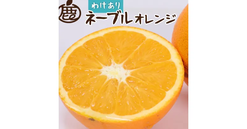 【ふるさと納税】＜2月より発送＞家庭用 ネーブルオレンジ5kg+150g（傷み補償分）【訳あり・わけあり】【光センサー選別】【IKE42】 | フルーツ 果物 くだもの 食品 人気 おすすめ 送料無料