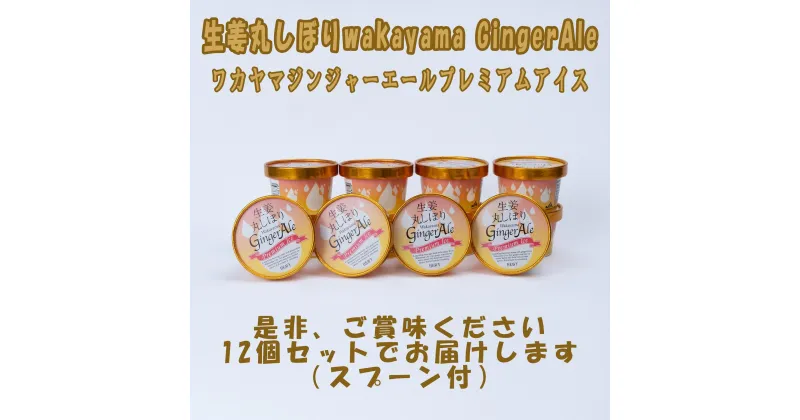 【ふるさと納税】ワカヤマジンジャーエールプレミアム アイス12個 | アイスお菓子 菓子 おかし スイーツ デザート 食品 人気 おすすめ 送料無料