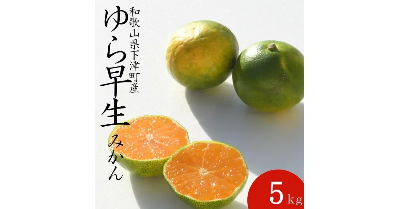 【ふるさと納税】ゆら早生みかん5kg (小粒2S・3S混合)《秀》味の濃い極早生みかんを和歌山県より農園直送！まごころ産直みかん【北海道・沖縄県・一部離島 配送不可】果物　柑橘　由良早生　小玉